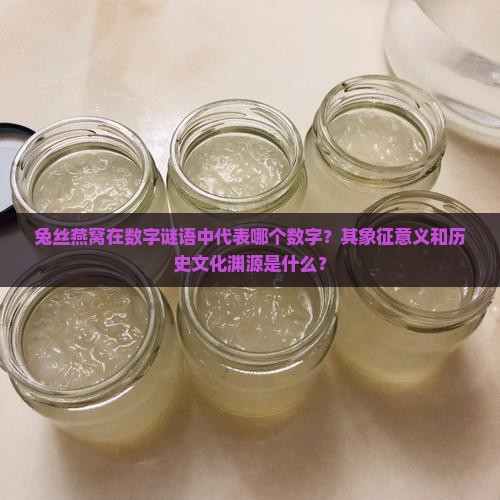 兔丝燕窝在数字谜语中代表哪个数字？其象征意义和历史文化渊源是什么？