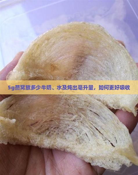 5g燕窝放多少牛奶、水及炖出毫升量，如何更好吸收