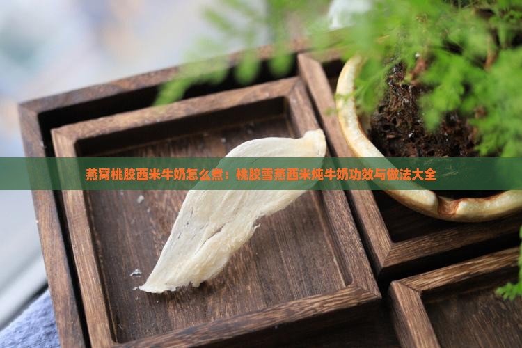 燕窝桃胶西米牛奶怎么煮：桃胶雪燕西米炖牛奶功效与做法大全