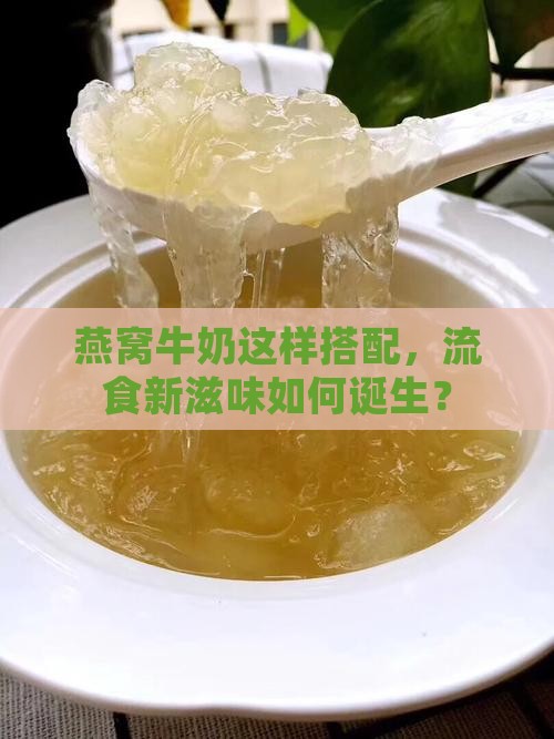燕窝牛奶这样搭配，流食新滋味如何诞生？