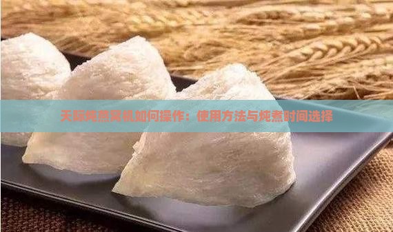 天际炖燕窝机如何操作：使用方法与炖煮时间选择