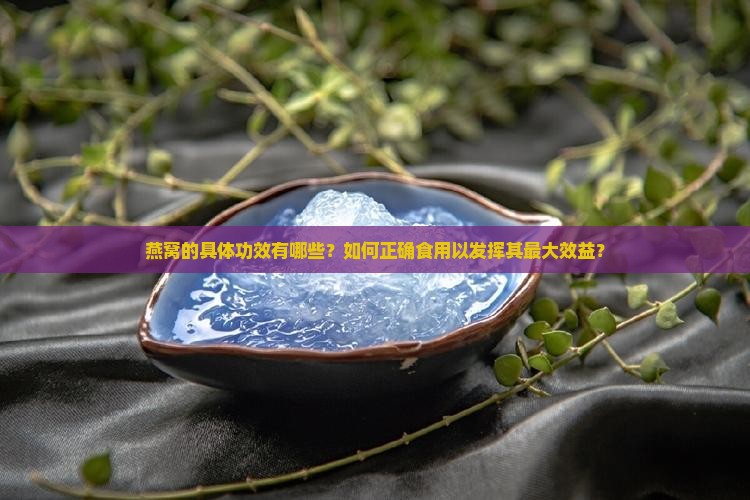 燕窝的具体功效有哪些?如何正确食用以发挥其最大效益? 燕窝的具体功效有哪些?如何正确食用以发挥其最大效益?