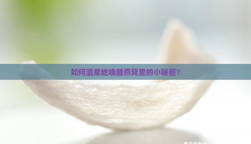 如何温柔地唤醒燕窝里的小秘密？