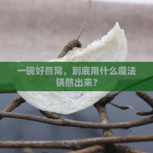 一碗好燕窝，到底用什么魔法锅熬出来？