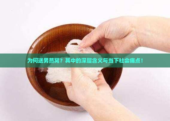 为何送男燕窝？其中的深层含义与当下社会痛点！