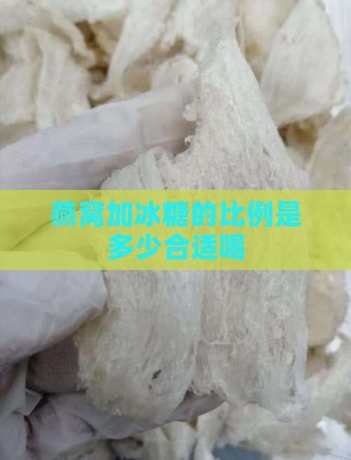 燕窝加冰糖的比例是多少合适喝