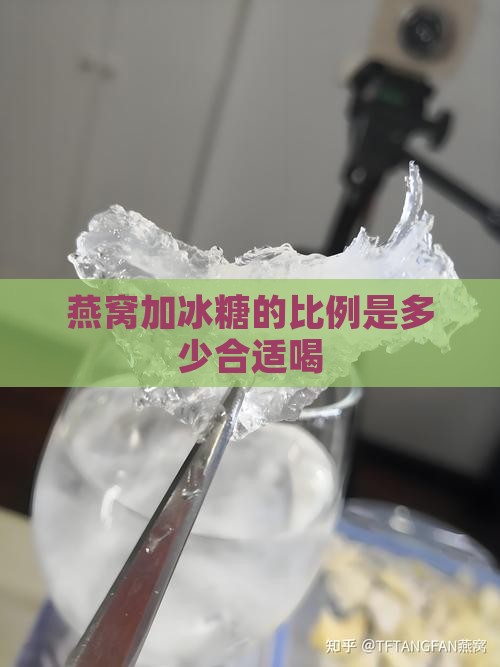 燕窝加冰糖的比例是多少合适喝