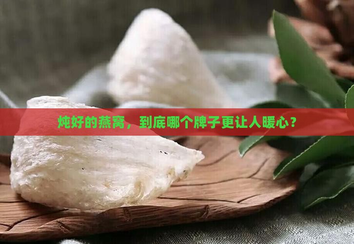炖好的燕窝，到底哪个牌子更让人暖心？