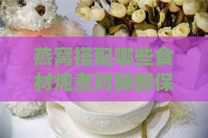 燕窝搭配哪些食材炖煮对肺部保健