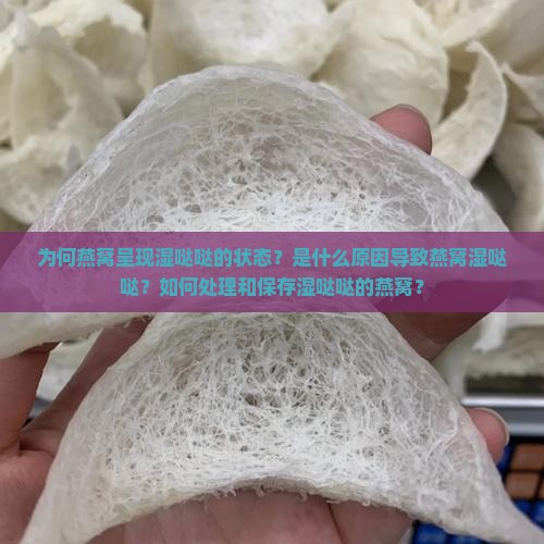 为何燕窝呈现湿哒哒的状态？是什么原因导致燕窝湿哒哒？如何处理和保存湿哒哒的燕窝？