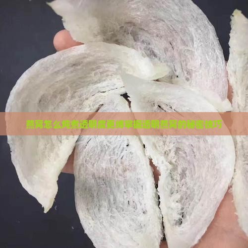 燕窝怎么炖煮透明度更缚掌握透明燕窝的秘密技巧