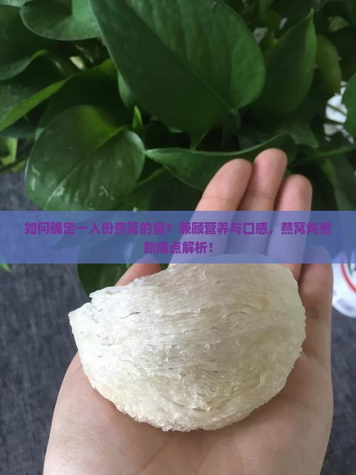 如何确定一人份燕窝的量？兼顾营养与口感，燕窝炖煮新痛点解析！