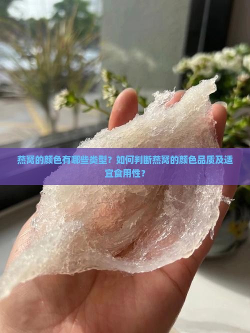 燕窝的颜色有哪些类型？如何判断燕窝的颜色品质及适宜食用性？