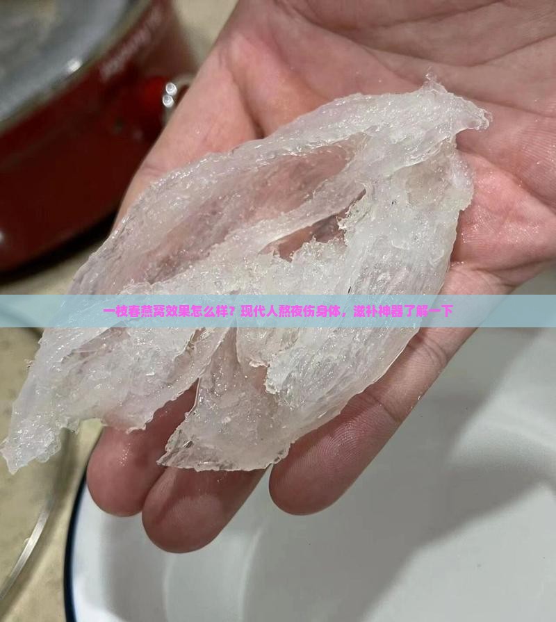 一枝春燕窝效果怎么样？现代人熬夜伤身体，滋补神器了解一下