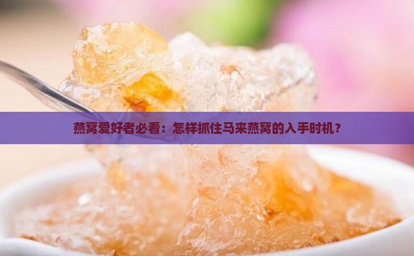 燕窝爱好者必看：怎样抓住马来燕窝的入手时机？