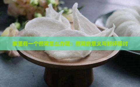 家里有一个燕窝怎么办呢：燕窝的意义与好坏探讨
