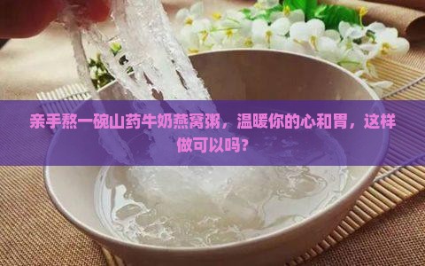 亲手熬一碗山药牛奶燕窝粥，温暖你的心和胃，这样做可以吗？