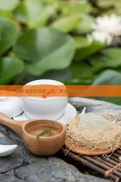 燕窝泡发总粘成一团，有没有轻松救星来帮忙？