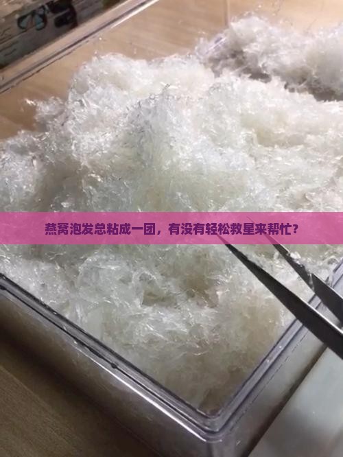 燕窝泡发总粘成一团，有没有轻松救星来帮忙？