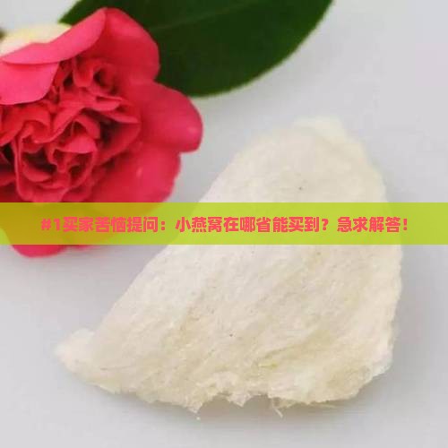 #1买家苦恼提问：小燕窝在哪省能买到？急求解答！