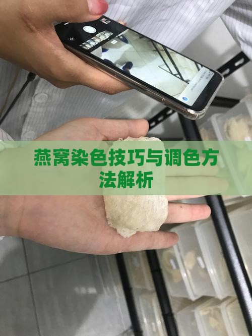 燕窝染色技巧与调色方法解析