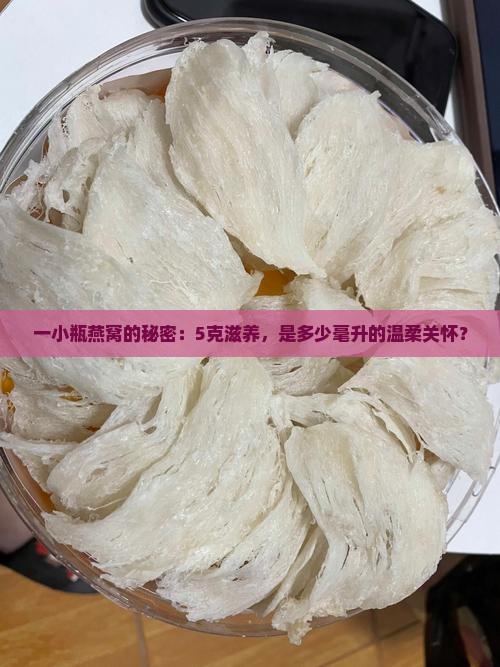 一小瓶燕窝的秘密：5克滋养，是多少毫升的温柔关怀？
