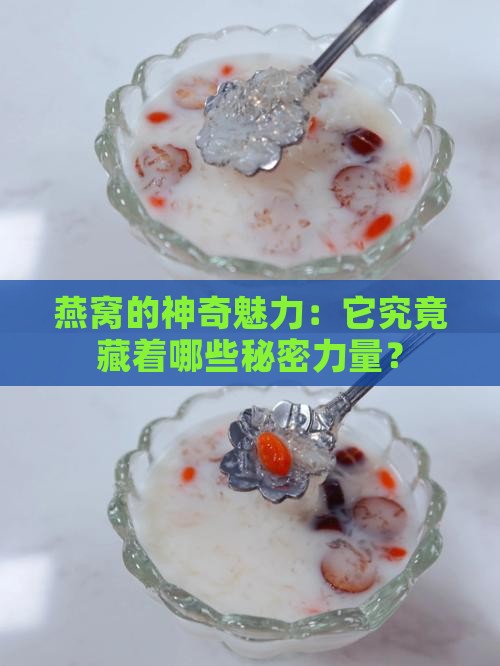 燕窝的神奇魅力：它究竟藏着哪些秘密力量？