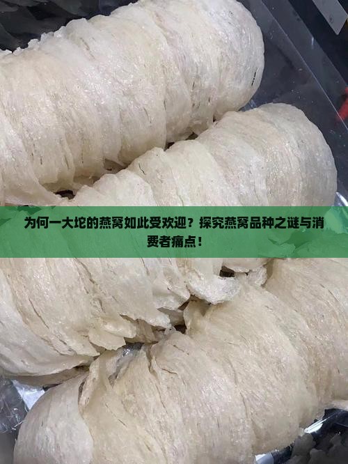 为何一大坨的燕窝如此受欢迎？探究燕窝品种之谜与消费者痛点！