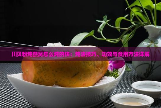 川贝粉炖燕窝怎么炖的快：炖法技巧、功效与食用方法详解