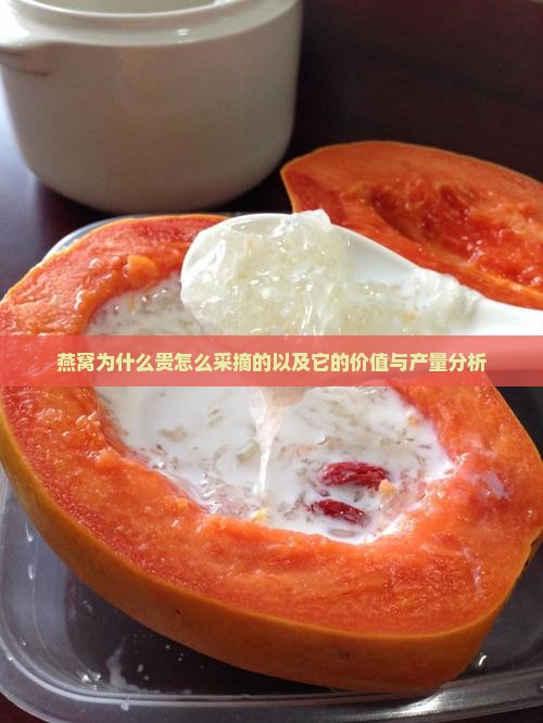 燕窝为什么贵怎么采摘的以及它的价值与产量分析
