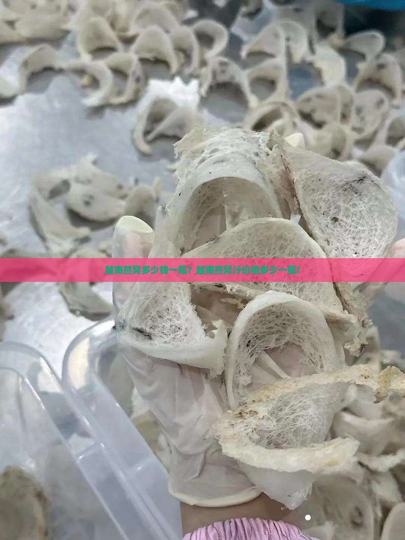 越南燕窝多少钱一瓶？越南燕窝汁价格多少一瓶！