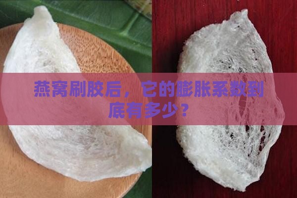 燕窝刷胶后，它的膨胀系数到底有多少？