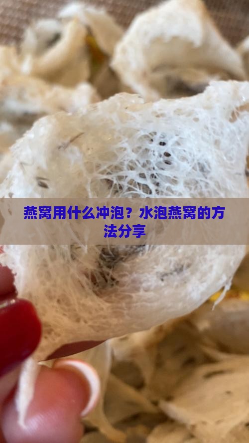 燕窝用什么冲泡？水泡燕窝的方法分享