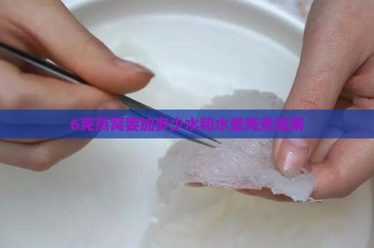 6克燕窝要加多少水和水量炖煮指南