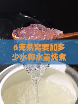 6克燕窝要加多少水和水量炖煮指南