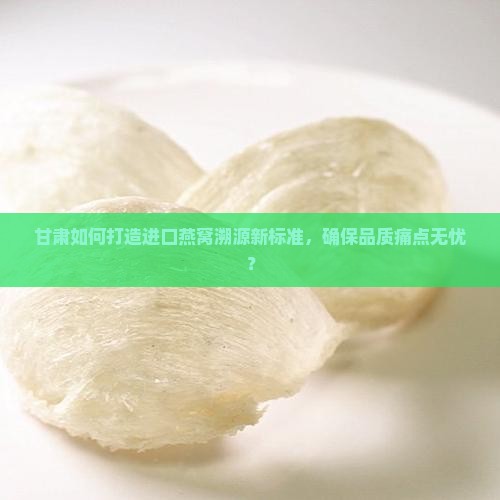 甘肃如何打造进口燕窝溯源新标准，确保品质痛点无忧？