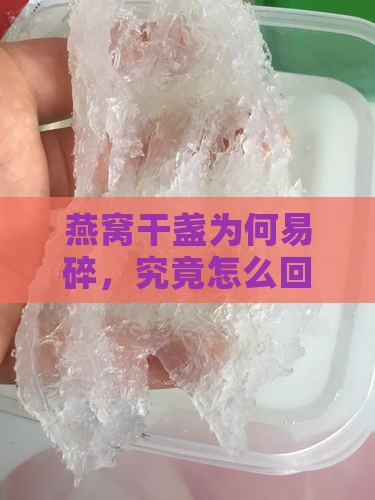 燕窝干盏为何易碎，究竟怎么回事？
