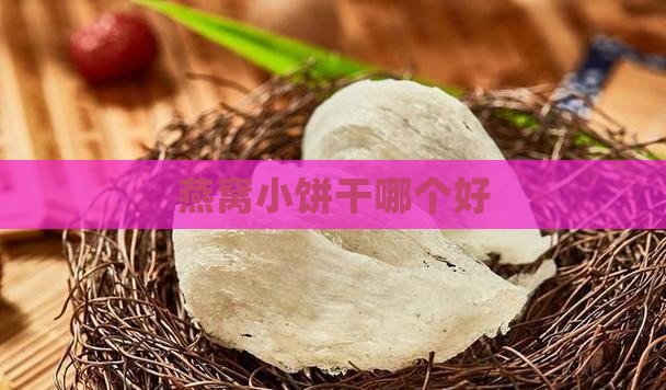 燕窝小饼干哪个好