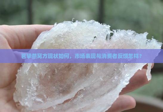 茗挚燕窝方现状如何，市场表现与消费者反馈怎样？