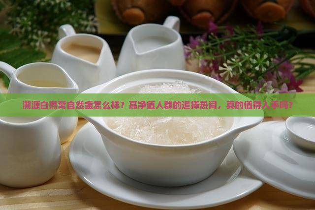 溯源白燕窝自然盏怎么样？高净值人群的追捧热词，真的值得入手吗？