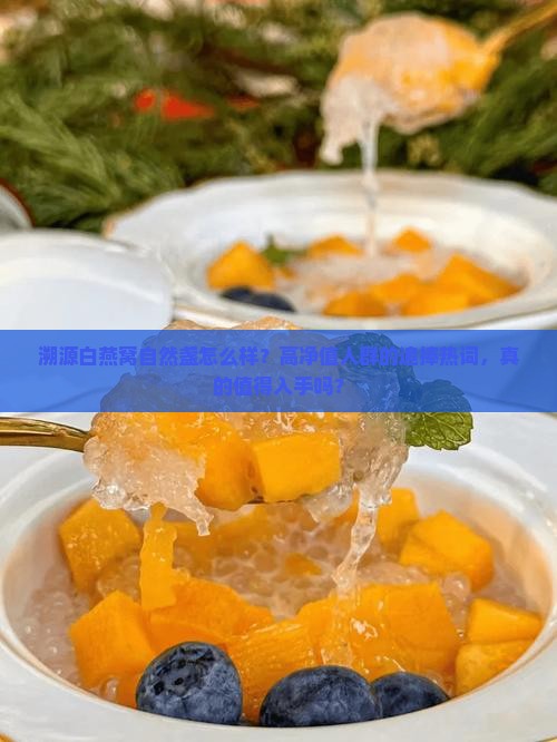 溯源白燕窝自然盏怎么样？高净值人群的追捧热词，真的值得入手吗？