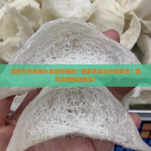 清吧与燕窝滋补店如何选择？哪家更适合休闲养生？哪种消费体验更佳？