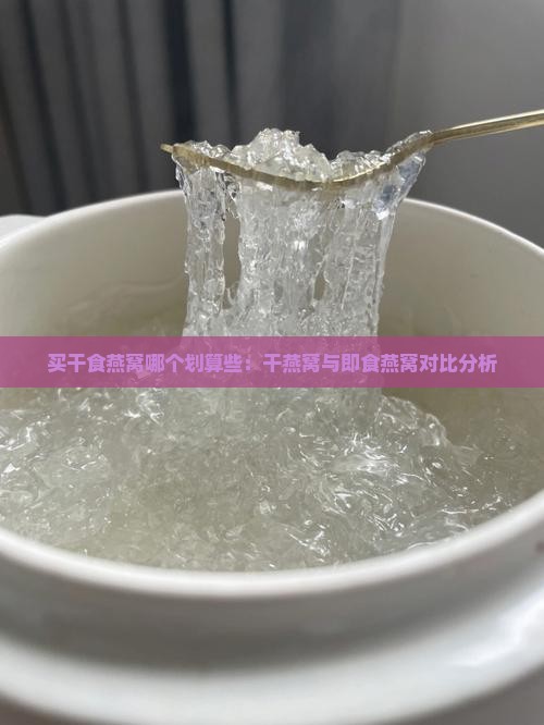 买干食燕窝哪个划算些：干燕窝与即食燕窝对比分析