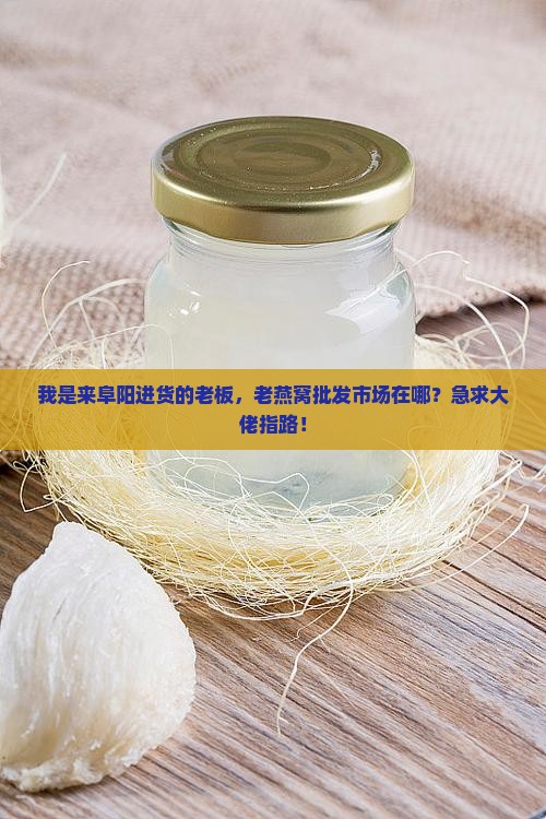 我是来阜阳进货的老板，老燕窝批发市场在哪？急求大佬指路！
