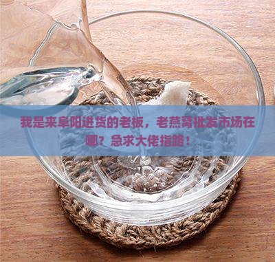 我是来阜阳进货的老板，老燕窝批发市场在哪？急求大佬指路！