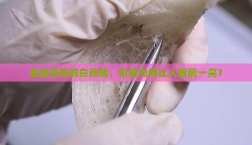 金丝燕筑的白燕窝，价格为何让人眼前一亮？