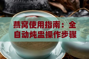 燕窝使用指南：全自动炖盅操作步骤详解