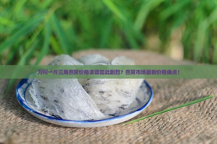 为何一斤三角燕窝价格波动如此剧烈？燕窝市场最新价格痛点！