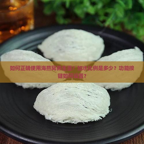 如何正确使用海燕窝养生壶？加水比例是多少？功能按键如何设置？