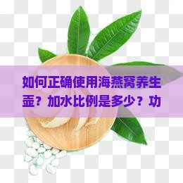 如何正确使用海燕窝养生壶？加水比例是多少？功能按键如何设置？